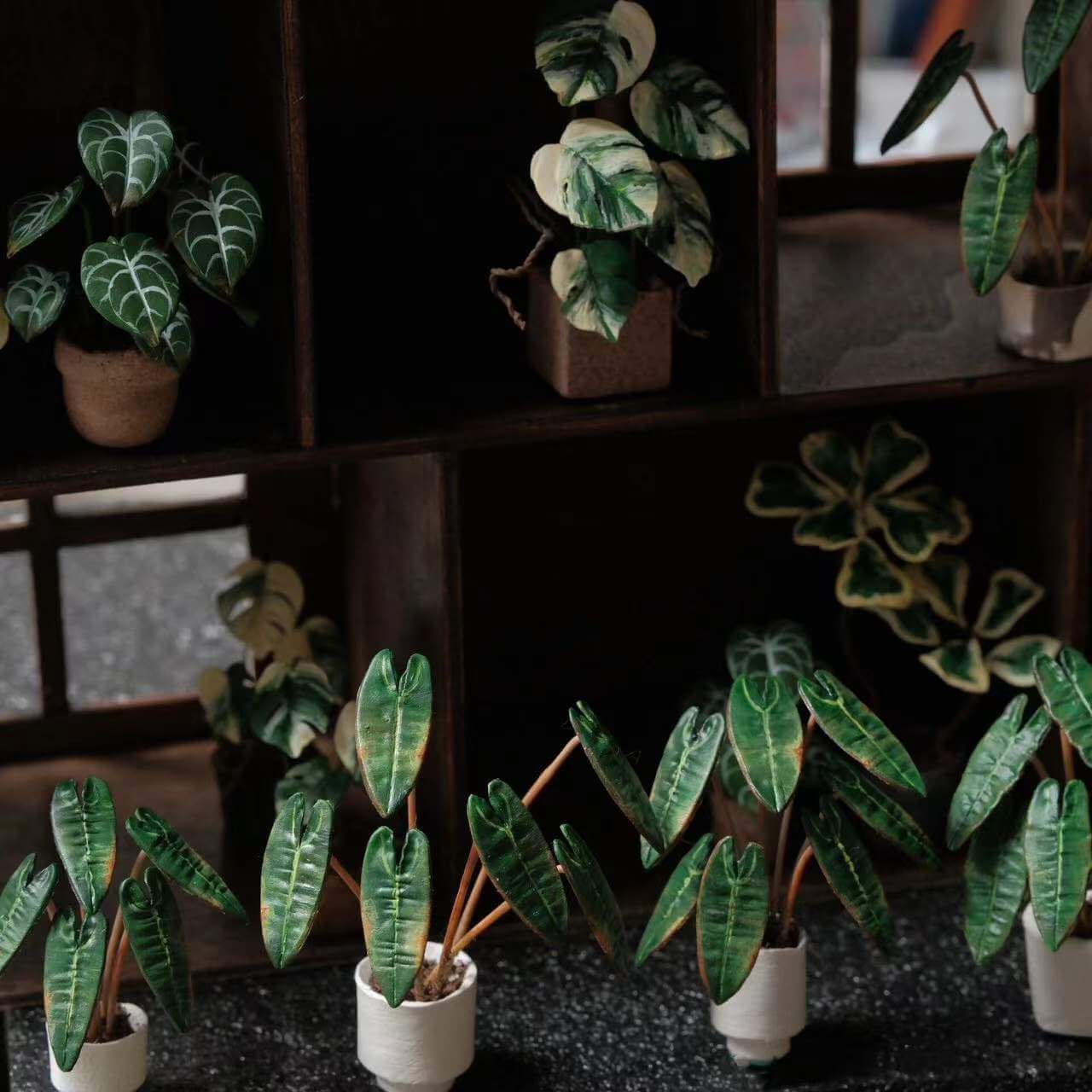 Philodendron billietiae produces long, strap shaped leaves with beautiful orange petioles. It grows as an epiphyte in nature and the elongated leaves and petioles help it to stretch out to receive light. Scale: 1:6; 1:12  Material: Handmade from Clay  Height: 4-6cm≈1.58-2.36in