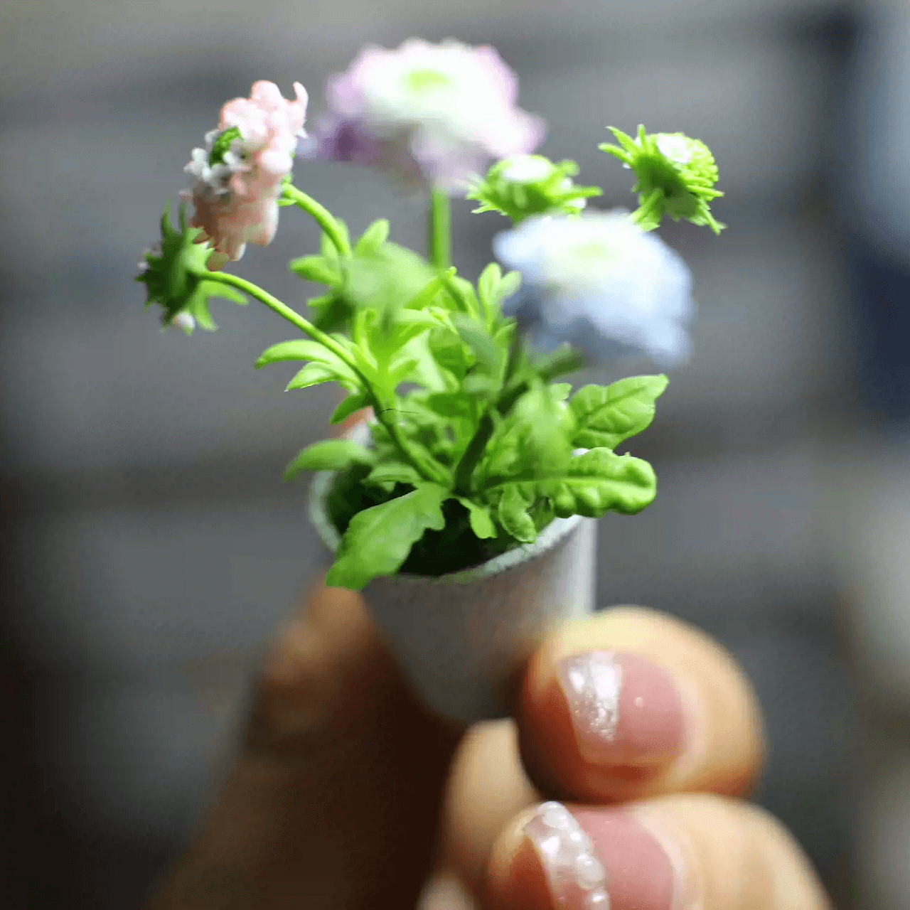 Scabiosa atropurpurea (syn. Sixalix atropurpurea), the mourningbride, mournful widow, pincushion flower, or sweet scabious, is an ornamental plant of the genus Scabiosa in the family Caprifoliaceae. It is native to southern Europe.  Material: Handmade from Clay