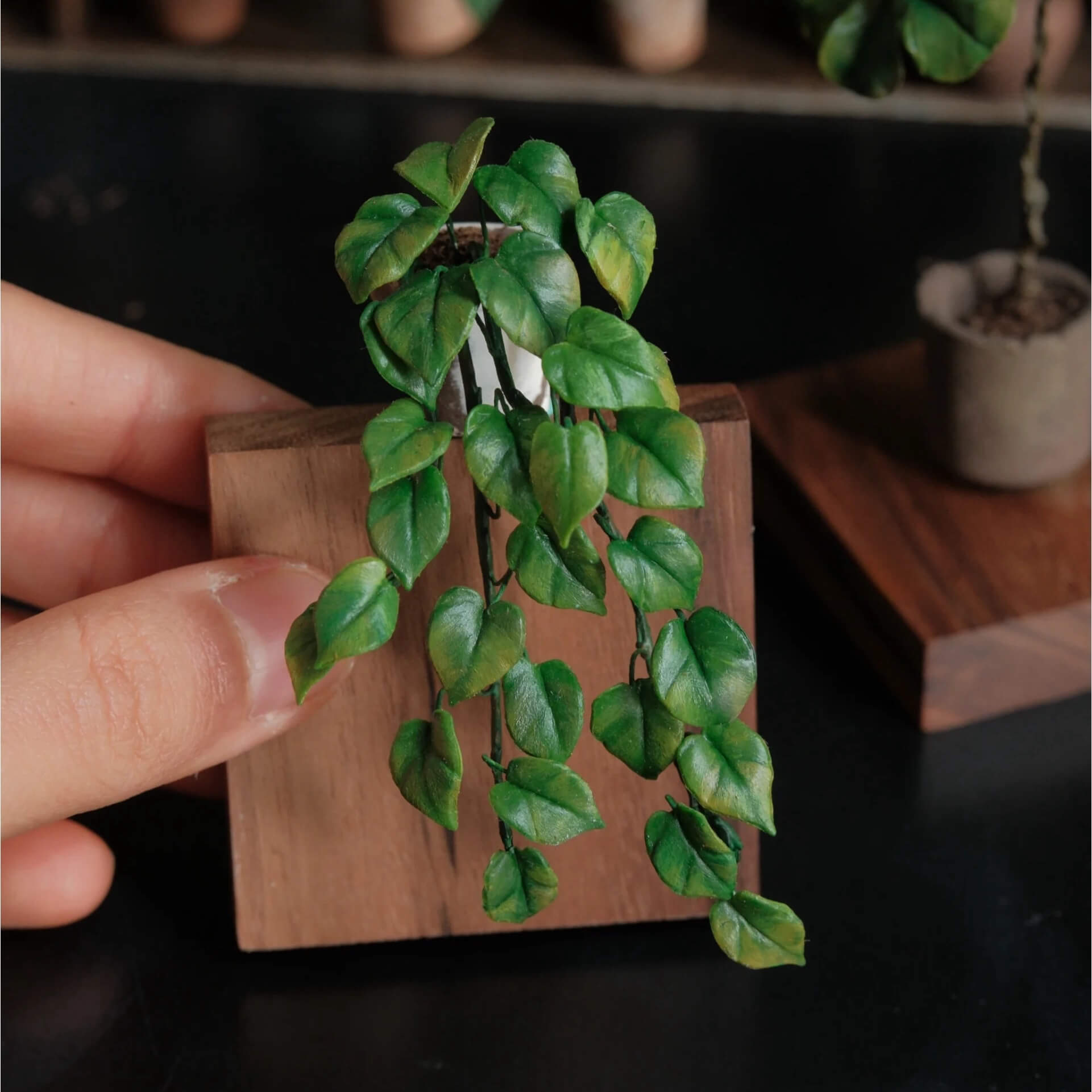 You'd be hard pressed to find anyone who doesn't recognize this plant. This is Epipremnum aureum, the widely popular and commonly kept Green Pothos. For many people this was their gateway plant into plant parenthood.  Scale: 1:6; 1:12  Material: Handmade from Clay  Height: About 8cm≈3.15in