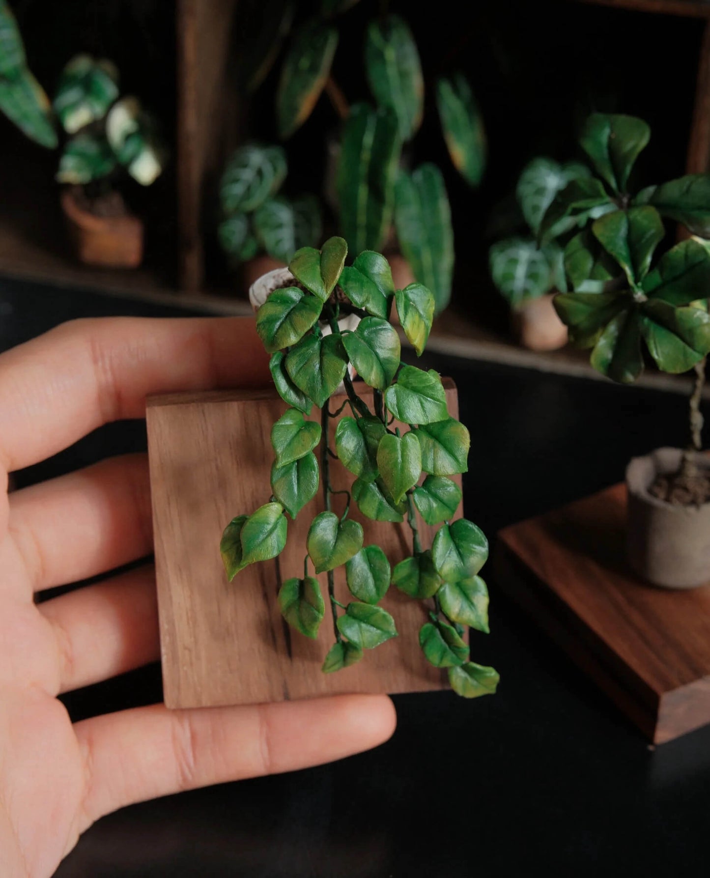 You'd be hard pressed to find anyone who doesn't recognize this plant. This is Epipremnum aureum, the widely popular and commonly kept Green Pothos. For many people this was their gateway plant into plant parenthood.  Scale: 1:6; 1:12  Material: Handmade from Clay  Height: About 8cm≈3.15in