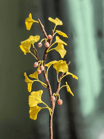 Ginkgo biloba, or maidenhair, is a tree native to China that has been grown for thousands of years for a variety of uses.  Dollhouse Garden Plants for decoration.