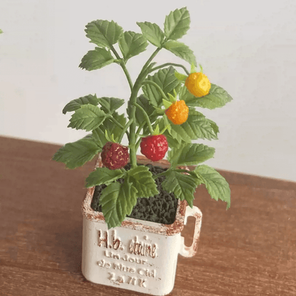 Rubus idaeus, commonly known as Tropical Raspberry, is a large shrub that can reach up to 5-10 feet tall. It is a deciduous plant and grows best in full sun but can tolerate semi-shade. Material: Handmade from Clay