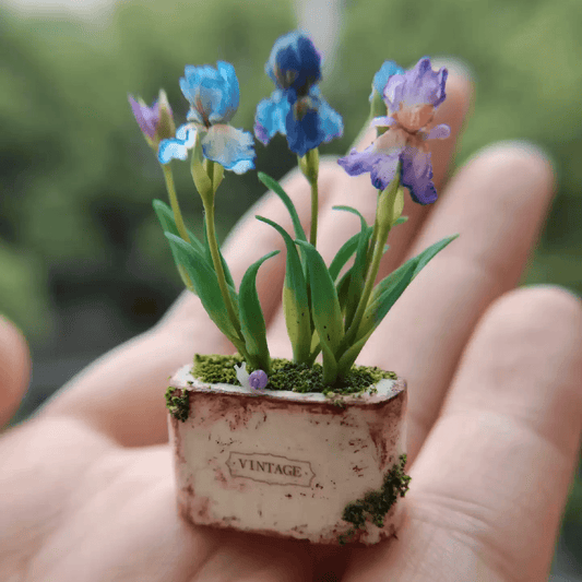 Iris tectorum (also known as roof iris, Japanese roof iris and wall iris) is a plant species in the genus Iris, it is also in the subgenus Limniris.  Material: Handmade from Clay