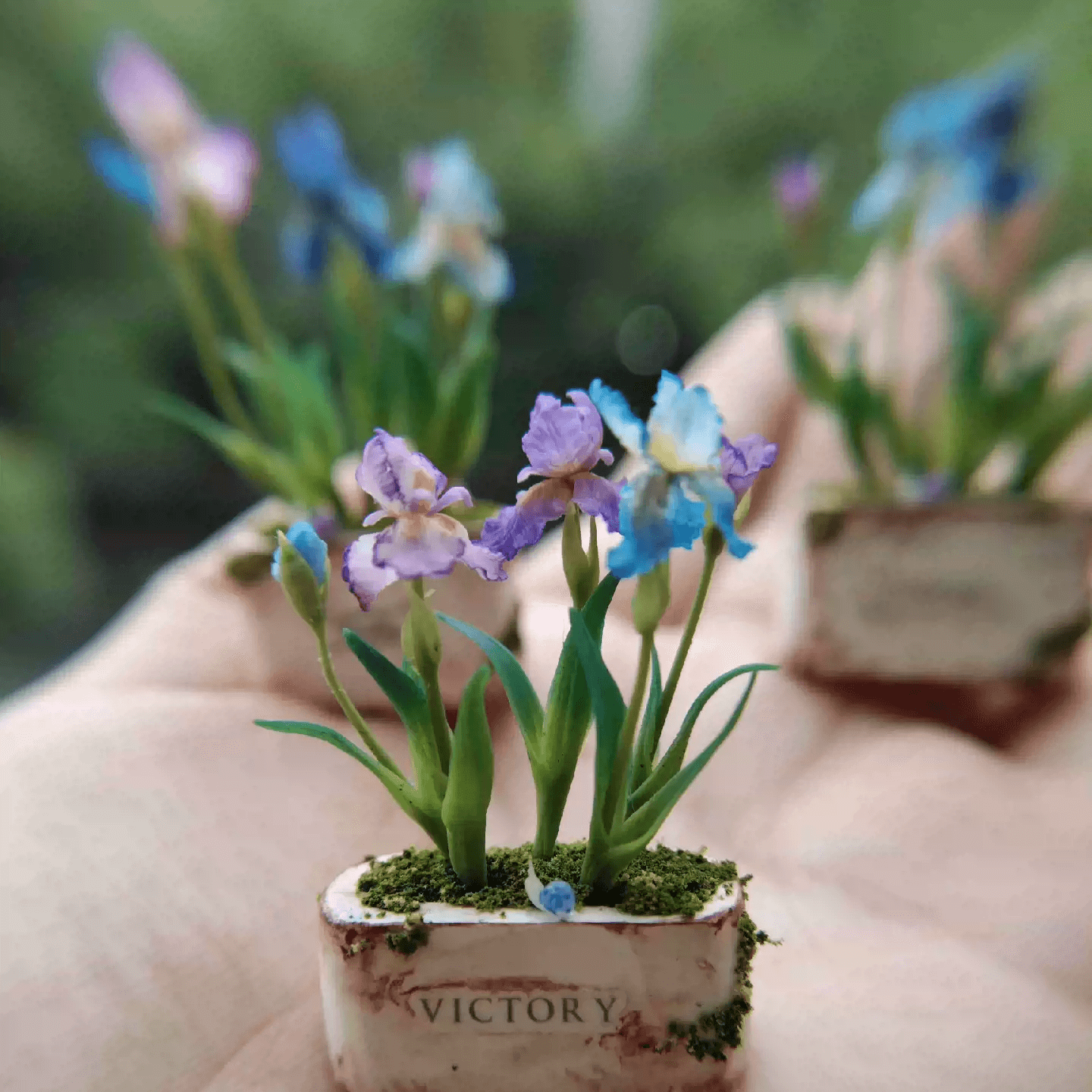 Iris tectorum (also known as roof iris, Japanese roof iris and wall iris) is a plant species in the genus Iris, it is also in the subgenus Limniris.  Material: Handmade from Clay