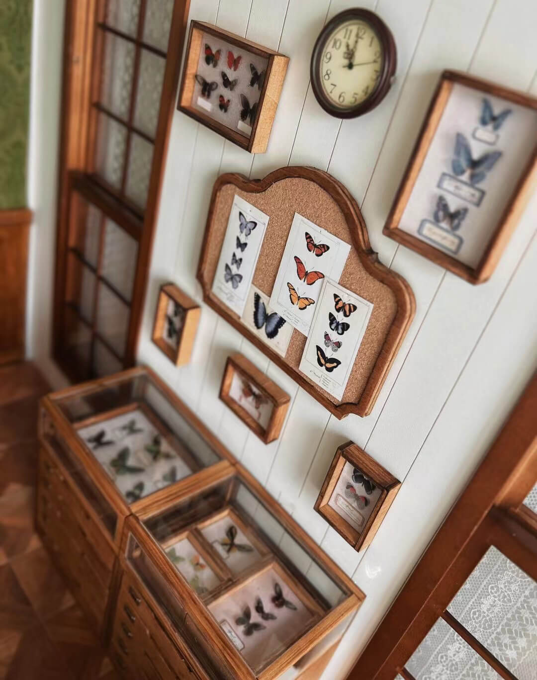 This miniature specimen cabinet is a beautifully crafted piece for displaying your butterfly and insect collections. Each of the six drawers can house specimen boxes, with the top transparent layer offering an ideal view to showcase your specimens. The matching specimen boxes can either be placed inside the cabinet or hung individually on the wall for a flexible display arrangement. Additionally, the vintage-style corkboard can be mounted on the wall, offering another option for showcasing items.