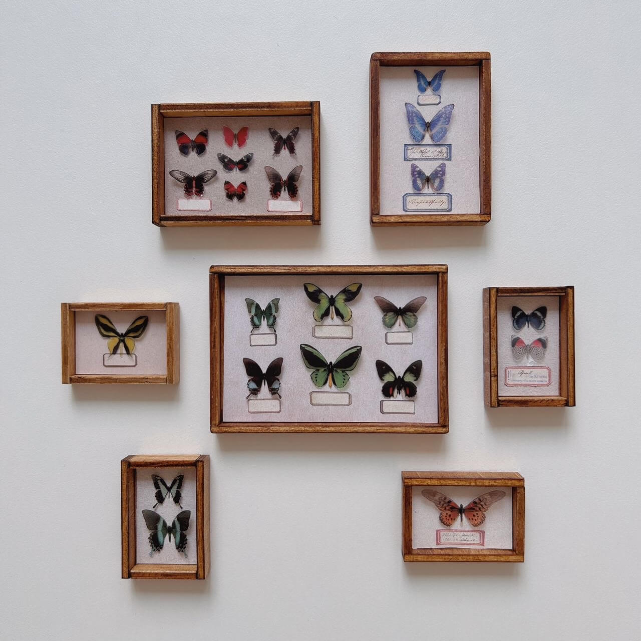 This miniature specimen cabinet is a beautifully crafted piece for displaying your butterfly and insect collections. Each of the six drawers can house specimen boxes, with the top transparent layer offering an ideal view to showcase your specimens. The matching specimen boxes can either be placed inside the cabinet or hung individually on the wall for a flexible display arrangement. Additionally, the vintage-style corkboard can be mounted on the wall, offering another option for showcasing items.