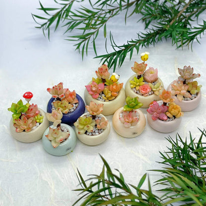 Succulents are a diverse group of plants. They are found in a wide range of shapes, sizes, and colors, making them popular choices for indoor and outdoor dollhouse gardens. Material: Handmade from Clay Scale: 1/12 Miniature for dolls, dollhouses, roomboxes. Suitable for Blythe, Barbie, Paola and other dolls with a height of 25-40cm (10-15.8 inches).