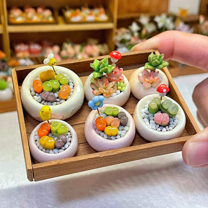 Succulents are a diverse group of plants. They are found in a wide range of shapes, sizes, and colors, making them popular choices for indoor and outdoor dollhouse gardens. Material: Handmade from Clay Scale: 1/12 Miniature for dolls, dollhouses, roomboxes. Suitable for Blythe, Barbie, Paola and other dolls with a height of 25-40cm (10-15.8 inches).