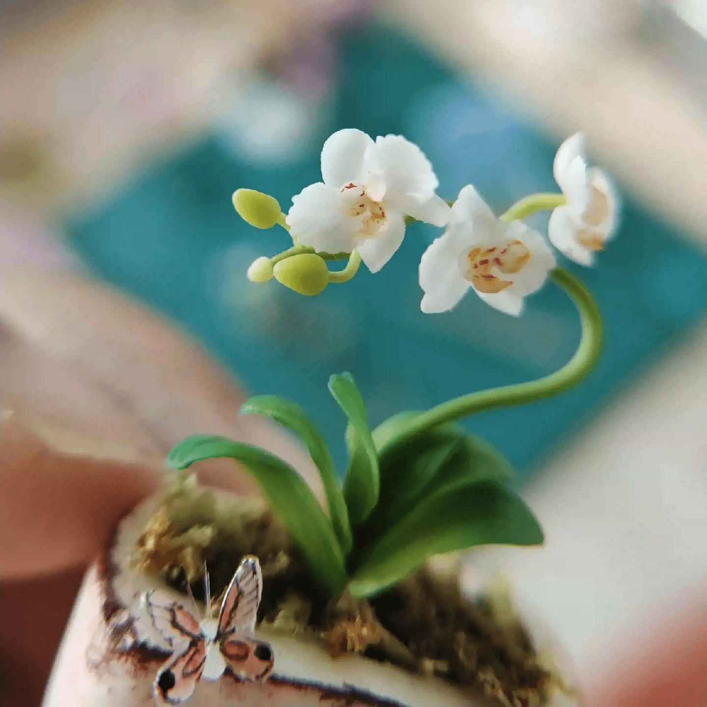 Phalaenopsis Moth Orchids are thick-leaved plants with elegant, arching sprays of bloom- the orchids are perfect for your coffee table or work desk.  Material: Handmade from Clay