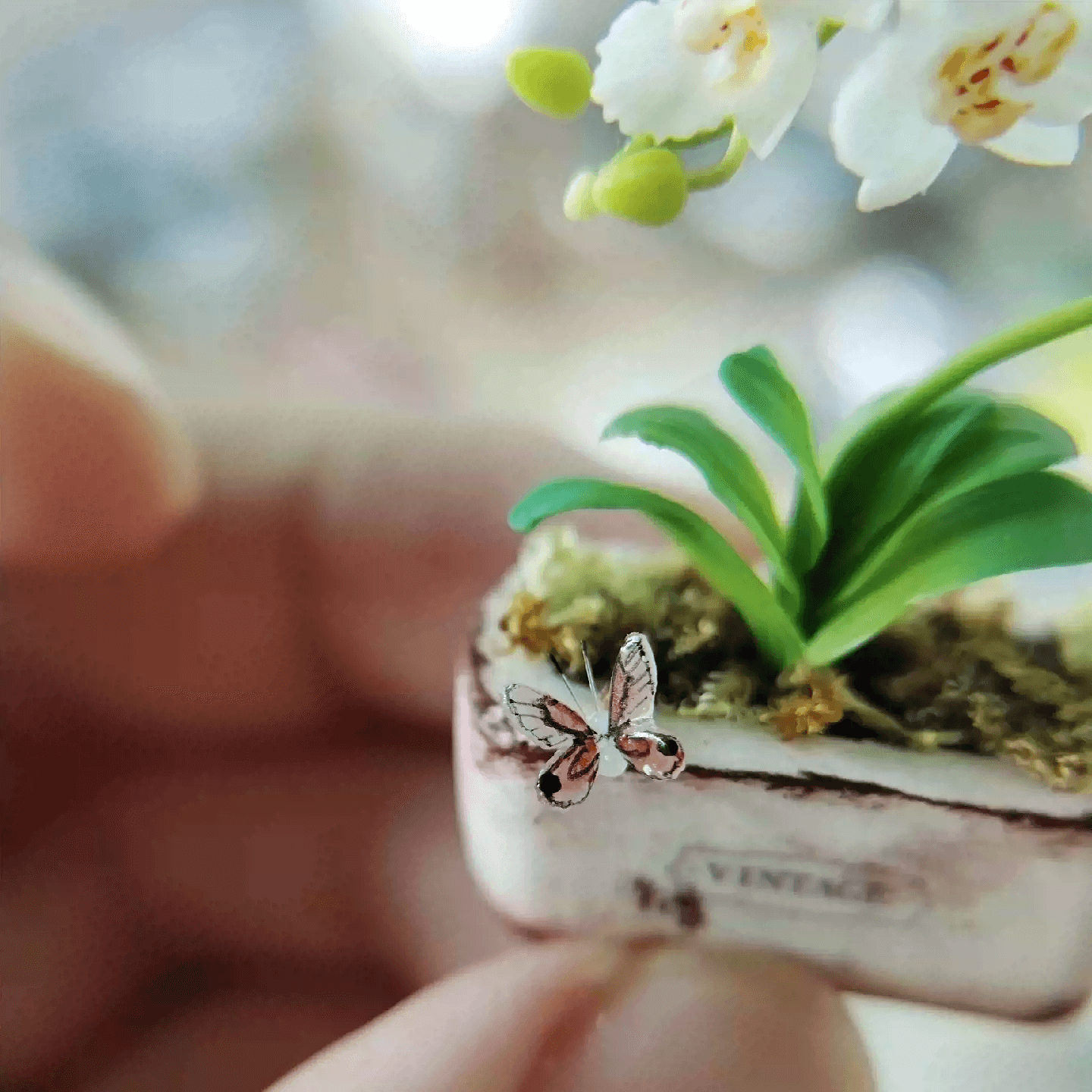Phalaenopsis Moth Orchids are thick-leaved plants with elegant, arching sprays of bloom- the orchids are perfect for your coffee table or work desk.  Material: Handmade from Clay