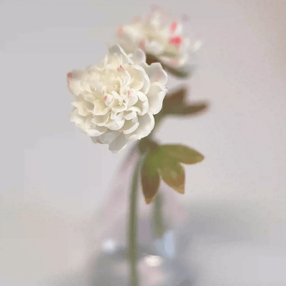 A neutral classic, this artificial miniature white peony is guaranteed to bloom year-round in your dollhouse! Miniature for dolls, dollhouses, roomboxes. Suitable for Blythe, Barbie, Paola,and other dolls with a height of 25-40cm (10-15.8 inches). Scale: 1:6; 1:12 Material: Handmade from Clay