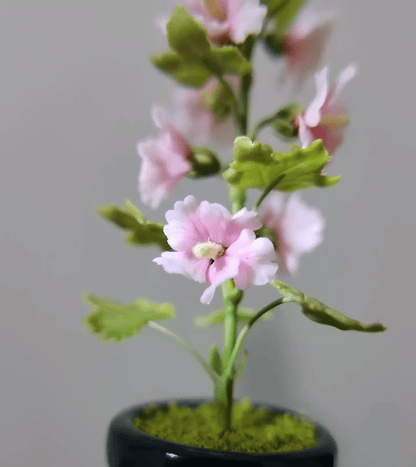 Miniature Alcea Rosea Hollyhocks in Pot Handmade Clay Plant