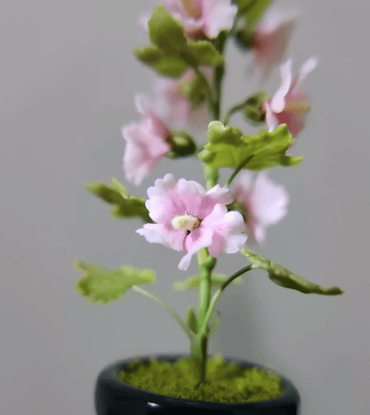 Miniature Alcea Rosea Hollyhocks in Pot Handmade Clay Plant