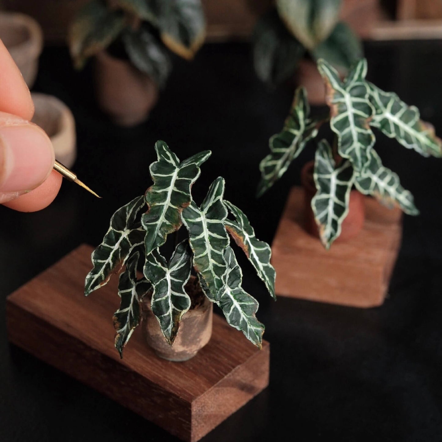 Alocasia Polly, also known as Alocasia Amazonica or African Mask plant, is a stunning tropical houseplant renowned for its unique foliage and striking appearance. Scale: 1:6; 1:12 Material: Handmade from Clay