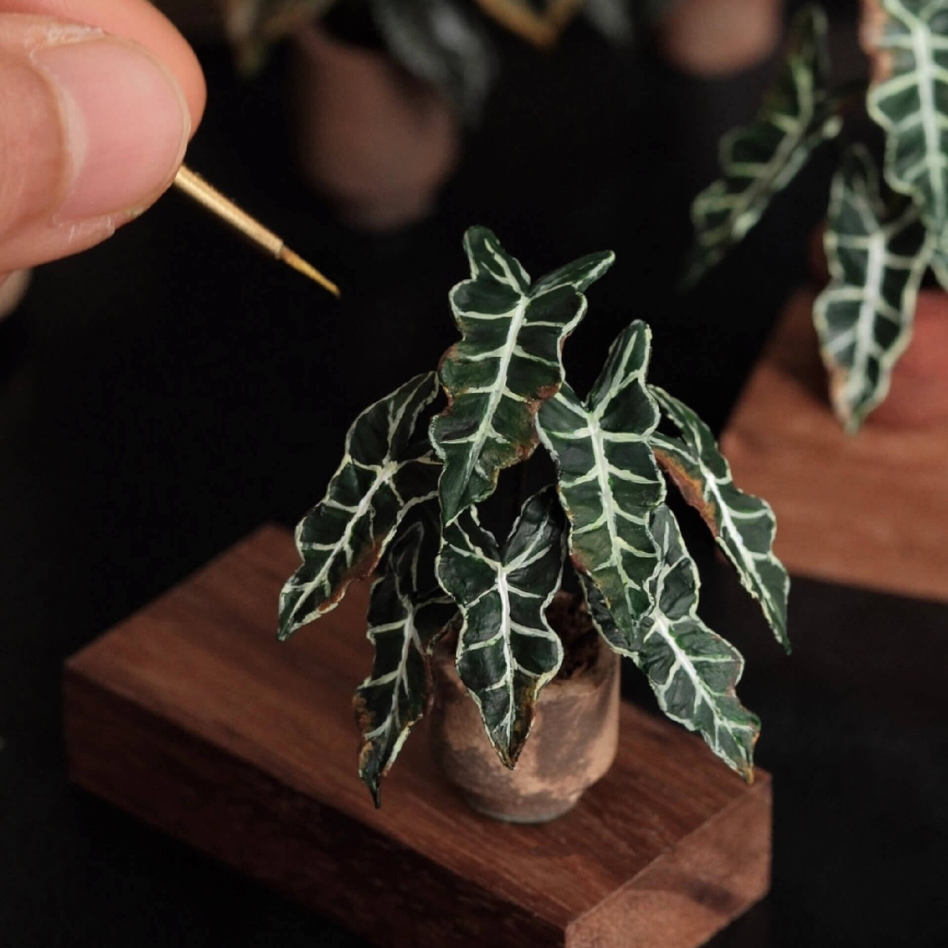 Alocasia Polly, also known as Alocasia Amazonica or African Mask plant, is a stunning tropical houseplant renowned for its unique foliage and striking appearance. Scale: 1:6; 1:12 Material: Handmade from Clay