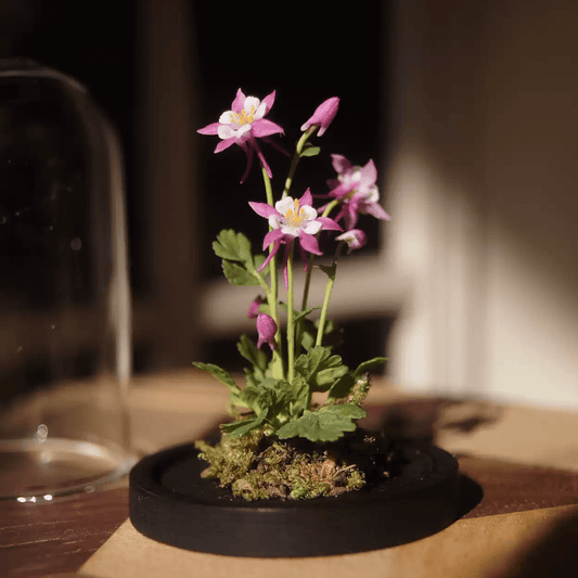 Aquilegia are quintessential cottage garden favourites often known as grannys bonnet or columbine. Miniature for dolls, dollhouses, roomboxes. Suitable for Blythe, Barbie, Paola,and other dolls with a height of 25-40cm (10-15.8 inches). Scale: 1:6; 1:12 Material: Handmade from Clay