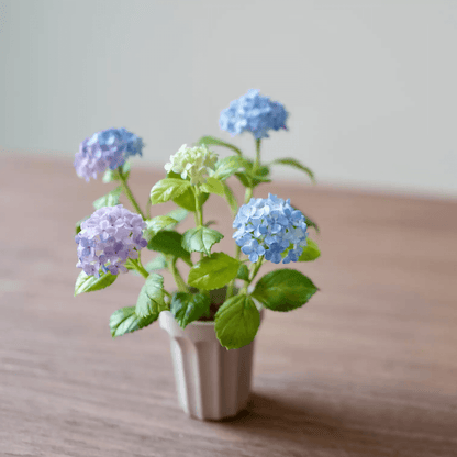 Hydrangeas are deciduous shrubs with flowers in terminal, round or umbrella-shaped clusters in colors of white, pink, or blue, or even purple.  Dollhouse Garden Plants Handmade from Clay.