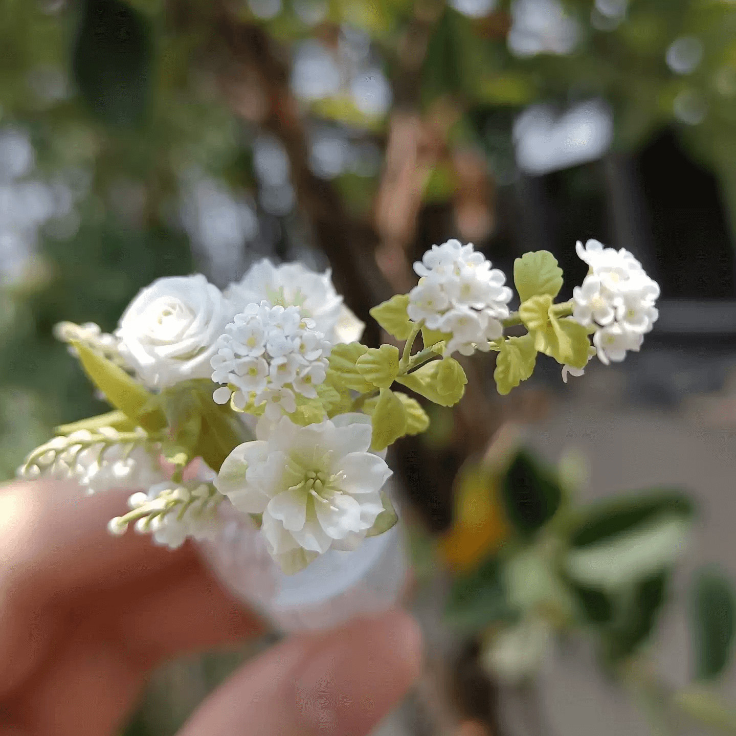 Spiraea prunifolia, commonly called bridal wreath spirea or just bridal wreath, is an upright, clumping, deciduous shrub with arching branching. Miniature for dolls, dollhouses, roomboxes. Suitable for Blythe, Barbie, Paola,and other dolls with a height of 25-40cm (10-15.8 inches).