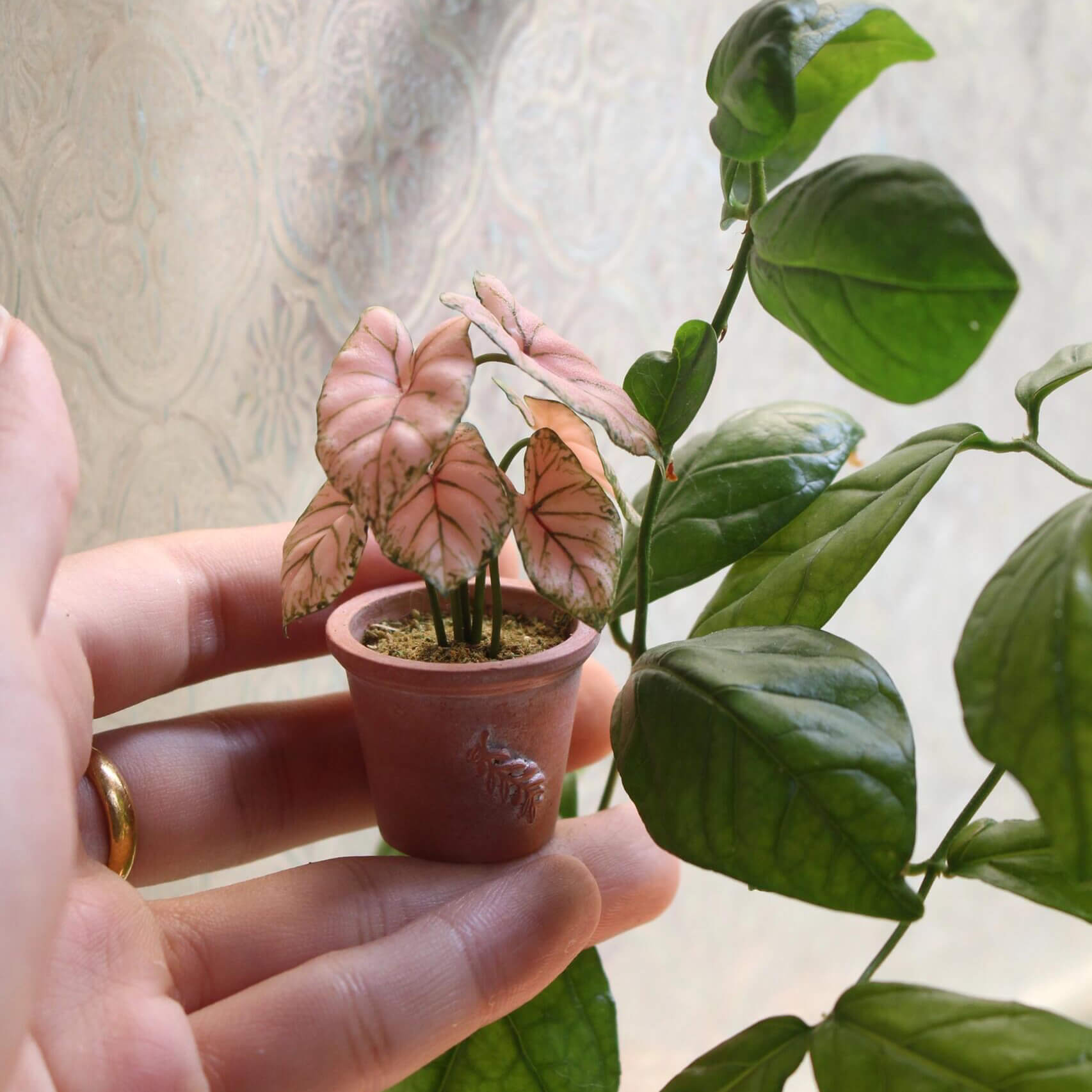 Carefully crafted handmade miniature Caladium plant, each leaves are individually cut, shaped, glued to the stem and assembled in place one by one. Material: Handmade from Clay Size: About 6cm / 2.36in