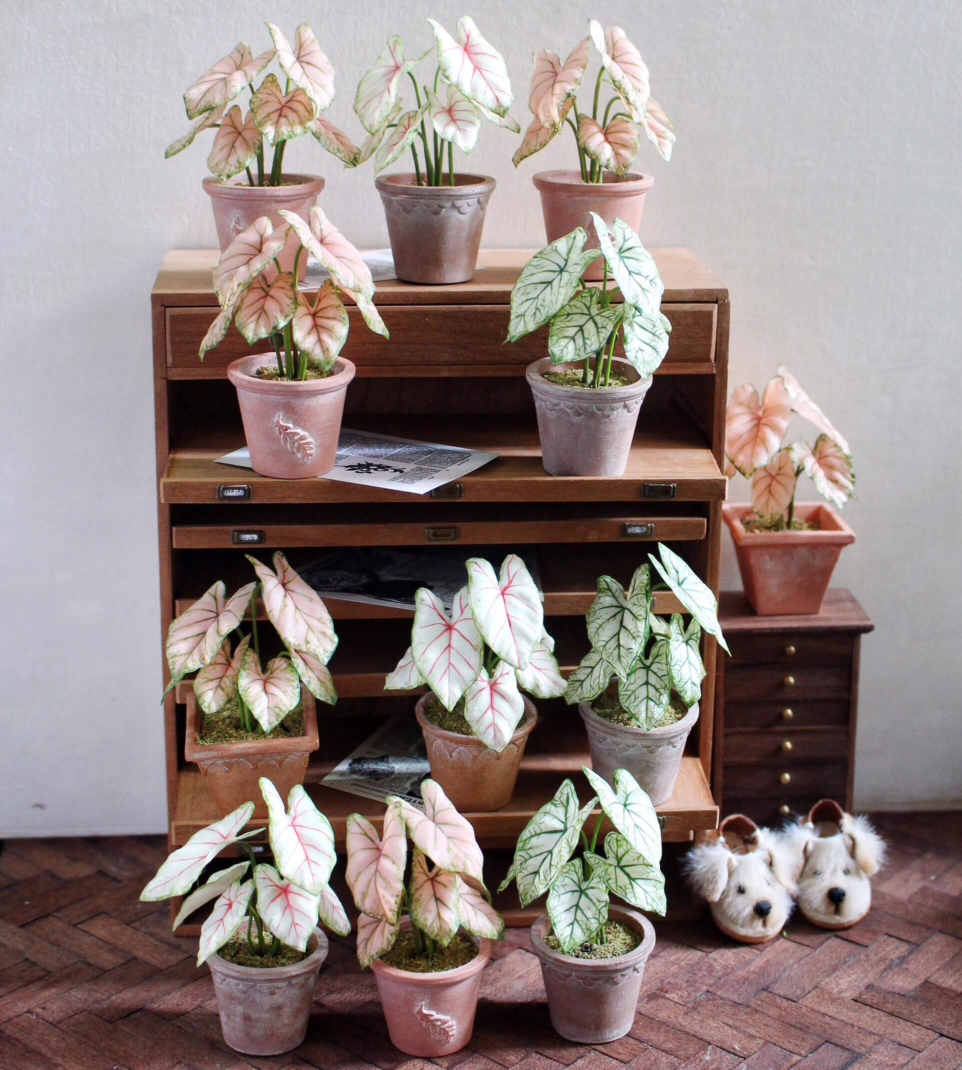 Carefully crafted handmade miniature Caladium plant, each leaves are individually cut, shaped, glued to the stem and assembled in place one by one. Material: Handmade from Clay Size: About 6cm / 2.36in