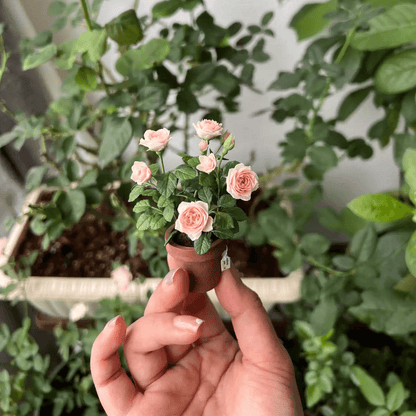 China rose (Rosa chinensis) are generally small compact bushes with dense, twiggy light green foliage.  Material: Handmade from Clay
