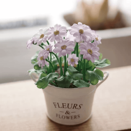 Pericallis × hybrida, known as cineraria, florist's cineraria or common ragwort is a flowering plant in the family Asteraceae. Miniature for dolls, dollhouses, roomboxes. Suitable for Blythe, Barbie, Paola,and other dolls with a height of 25-40cm (10-15.8 inches).