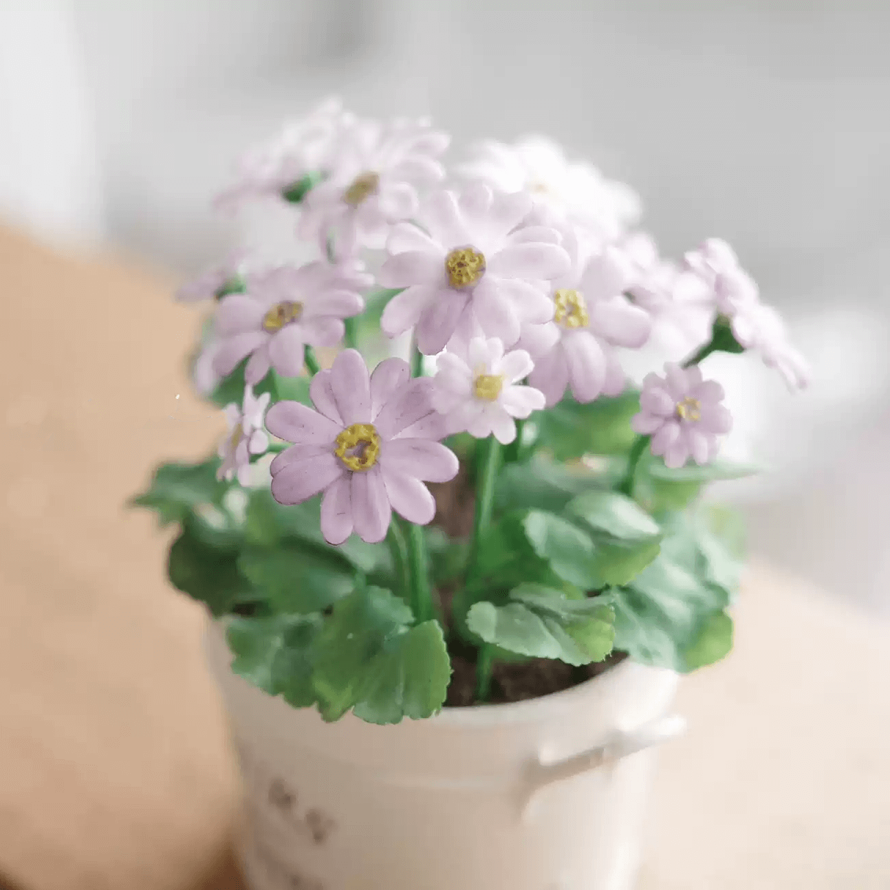 Pericallis × hybrida, known as cineraria, florist's cineraria or common ragwort is a flowering plant in the family Asteraceae. Miniature for dolls, dollhouses, roomboxes. Suitable for Blythe, Barbie, Paola,and other dolls with a height of 25-40cm (10-15.8 inches).