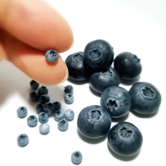 Miniature fruit blueberry for a dollhouse. Miniature fruit blueberry made of clay. Miniature fruit blueberry can be used in doll kitchen, doll grocery store, doll food, collection, diorama decoration. Size: 0.4cm / 0.16in