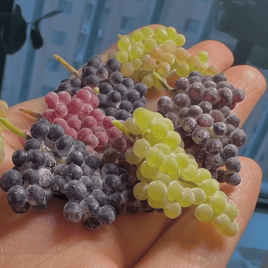 Realistic grapes 1:6 and 1:12 scale. Miniature fruit 1/6 scale. Miniature fruit 1/12 scale. Dollhouse kitchen accessories. Miniature food for doll. Miniature fruit for miniature garden, dollhouse farmhouse, tiny kitchen. Size: A Bunch Of Grapes Color: Green; Purple; Red