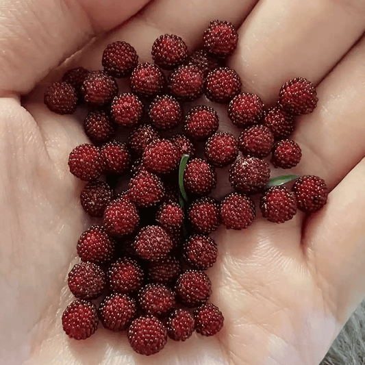 This miniature fruit Chinese Red Bayberry would be a wonderful addition to any doll's house kitchen or dining room table. Miniature fruits for dollhouse. Miniature Chinese Red Bayberry handmade from clay.