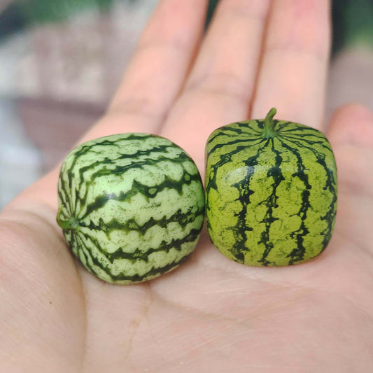 Can be a detail for making handmade jewelry. Perfect for dollhouse kitchen, dioramas, room box. Fruits for miniature garden, dollhouse farmhouse, farmer's market. Material: Clay Whole watermelon length: 2cm / 0.79inch