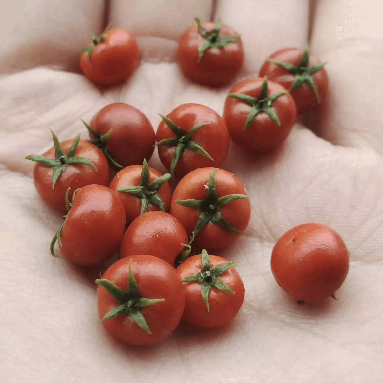 This miniature fruit Tomato would be a wonderful addition to any doll's house kitchen or dining room table. Miniature fruits for dollhouse. Miniature Tomato handmade from clay. Miniature fruits in 1/6 and 1/8 scale can be used in doll kitchen, doll grocery store, doll food, collection, diorama decoration.