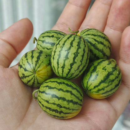 Enhance your dollhouse with these meticulously crafted miniature watermelons. These miniature watermelons are made with attention to detail, ensuring durability and a lifelike appearance. The intricate details and vibrant colors make them stand out as realistic and attractive dollhouse food items. Material: Clay