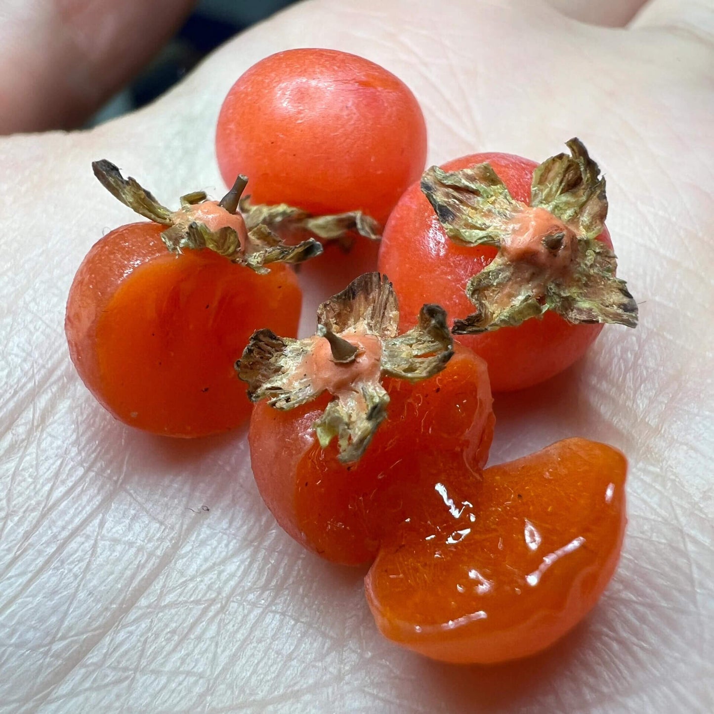 Miniature fruit persimmon for a dollhouse. Miniature fruit persimmon made of clay. Miniature fruit persimmon can be used in doll kitchen, doll grocery store, doll food, collection, diorama decoration.