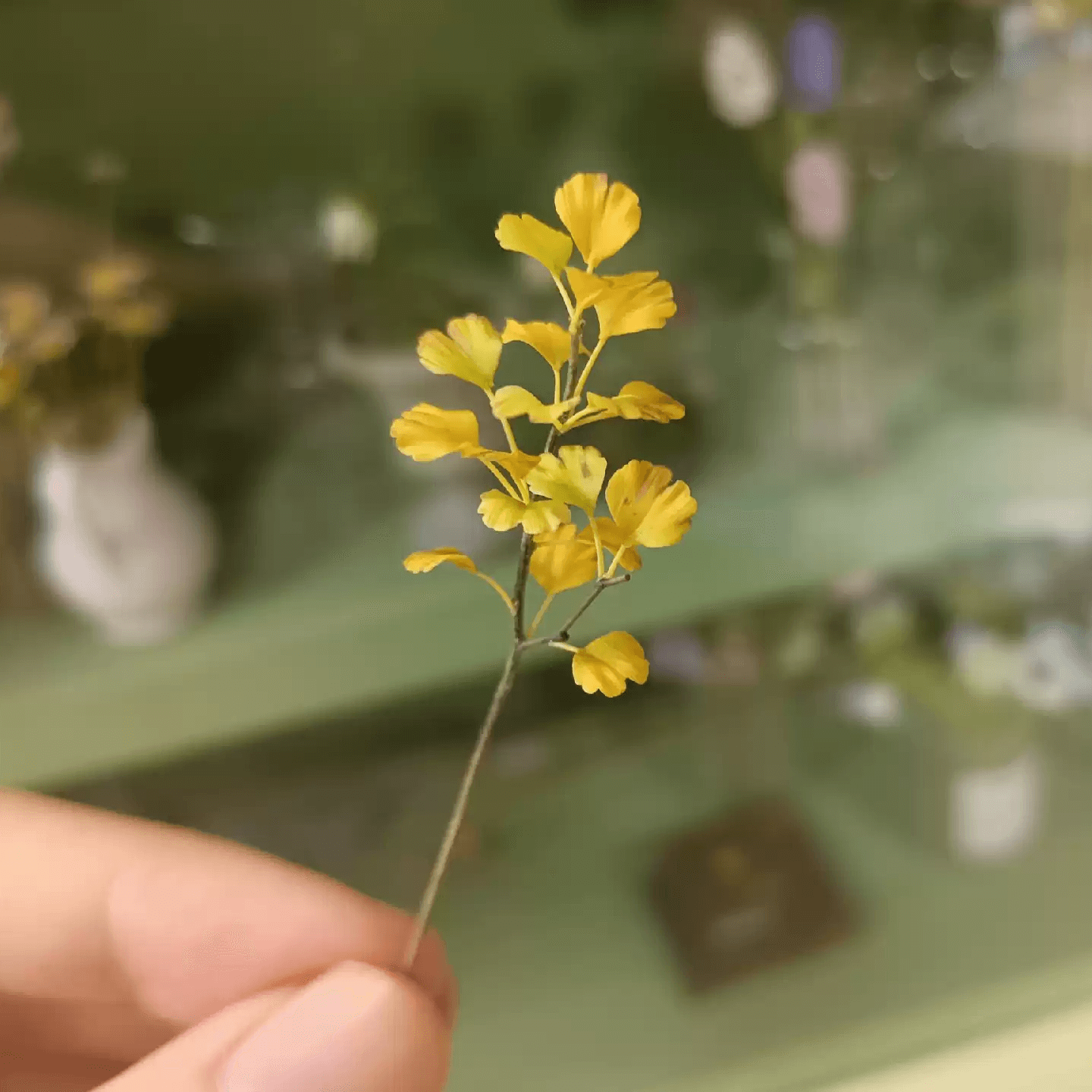 Ginkgo biloba, commonly known as ginkgo or gingko also known as the maidenhair tree, is a species of gymnosperm tree native to East Asia.  Scale: 1:6; 1:12  Material: Handmade from Clay