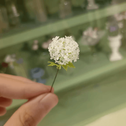 Guelder rose, Viburnum opulus, is a beautiful native shrub, with attractive flowers, foliage and autumn berries.  Scale: 1:6; 1:12  Material: Handmade from Clay  Size: One Flowers; Two Flowers  Color: White or Green