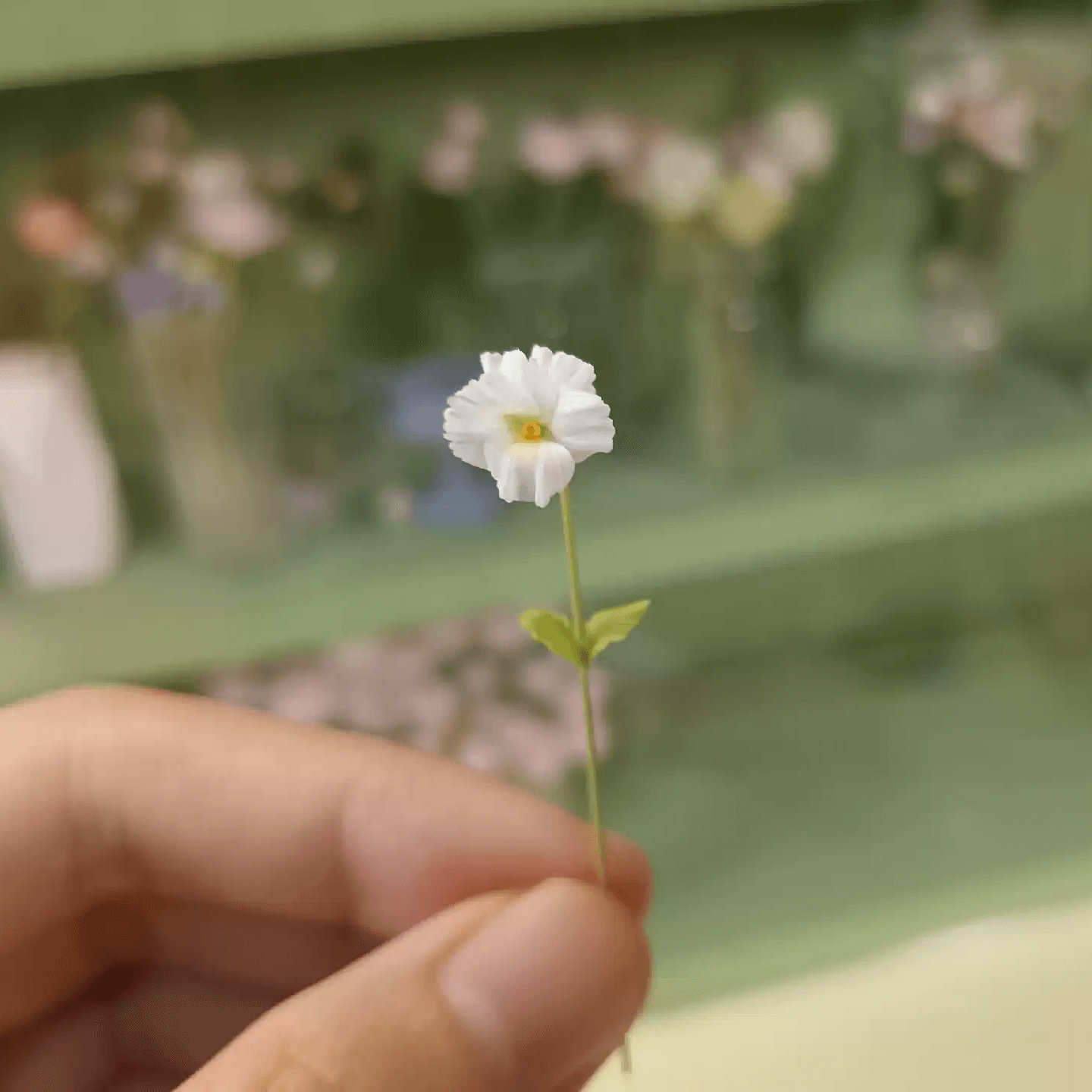 Horned Violet (Viola cornuta) (also called tufted pansy, and Baby Faces) is a very cute little flower that blooms all winter long producing very charming small flowers in jewel-like shades of scarlet, yellow, apricot, blue, violet and white.  Scale: 1:6; 1:12  Material: Handmade from Clay  Color: White / Blue and Purple