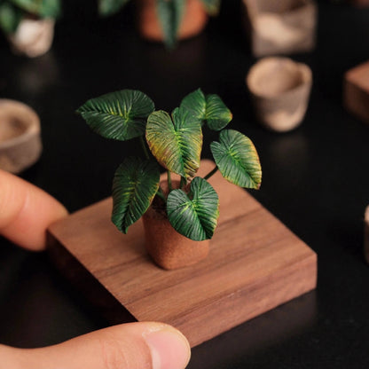 Philodendron McDowell is a terrestrial aroid cross between Philodendron Gloriosum and Philodendron Ecuadoriana.  Scale: 1:6; 1:12  Material: Handmade from Clay  Height: 4-6cm≈1.58-2.36in