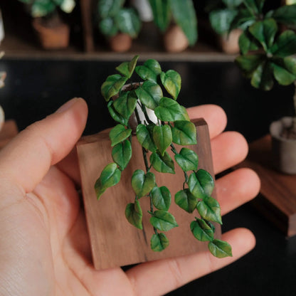 You'd be hard pressed to find anyone who doesn't recognize this plant. This is Epipremnum aureum, the widely popular and commonly kept Green Pothos. For many people this was their gateway plant into plant parenthood.  Scale: 1:6; 1:12  Material: Handmade from Clay  Height: About 8cm≈3.15in