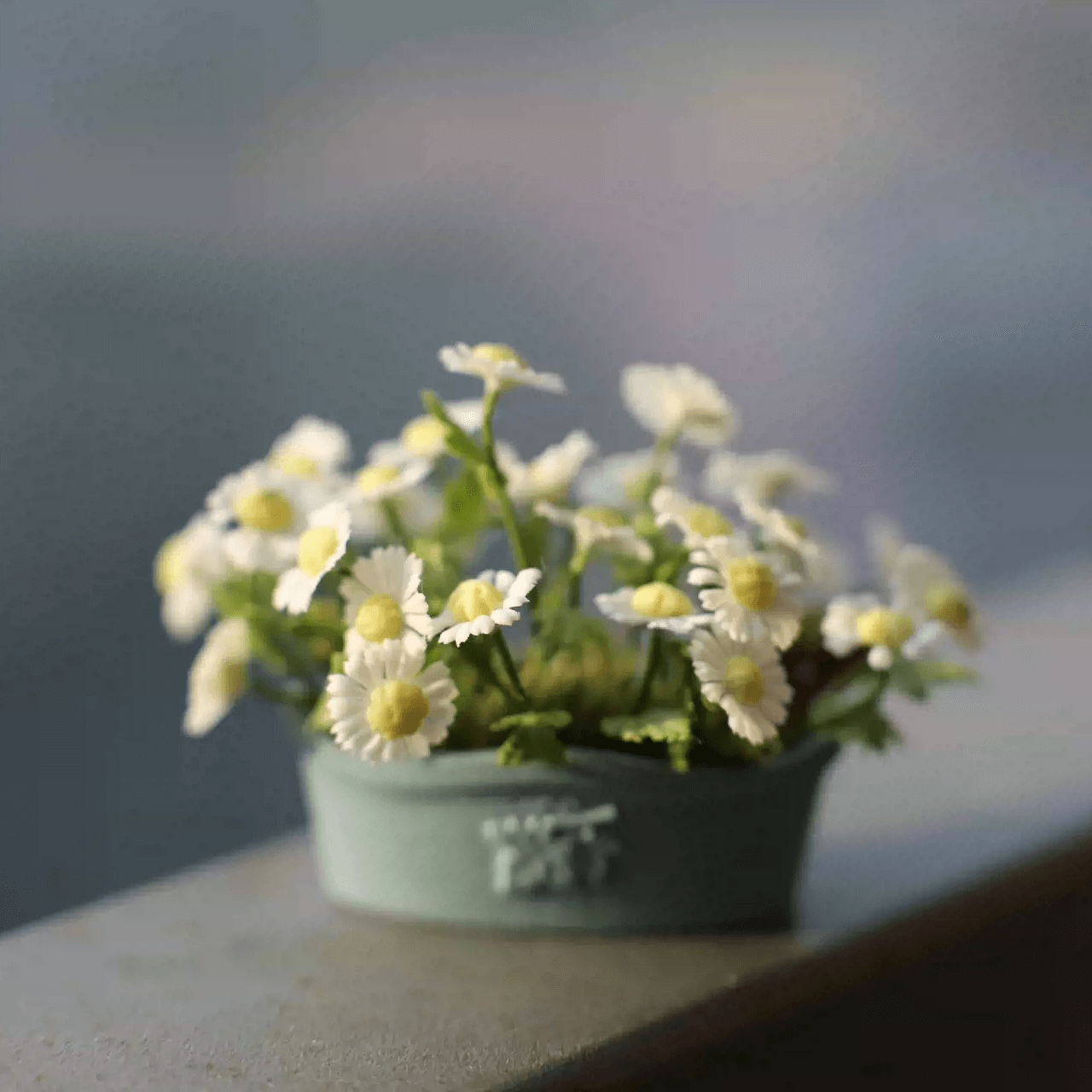 Bellis perennis is a very common European species of daisy, of the Asteraceae family, often considered the model type for the name "daisy".  Material: Handmade from Clay