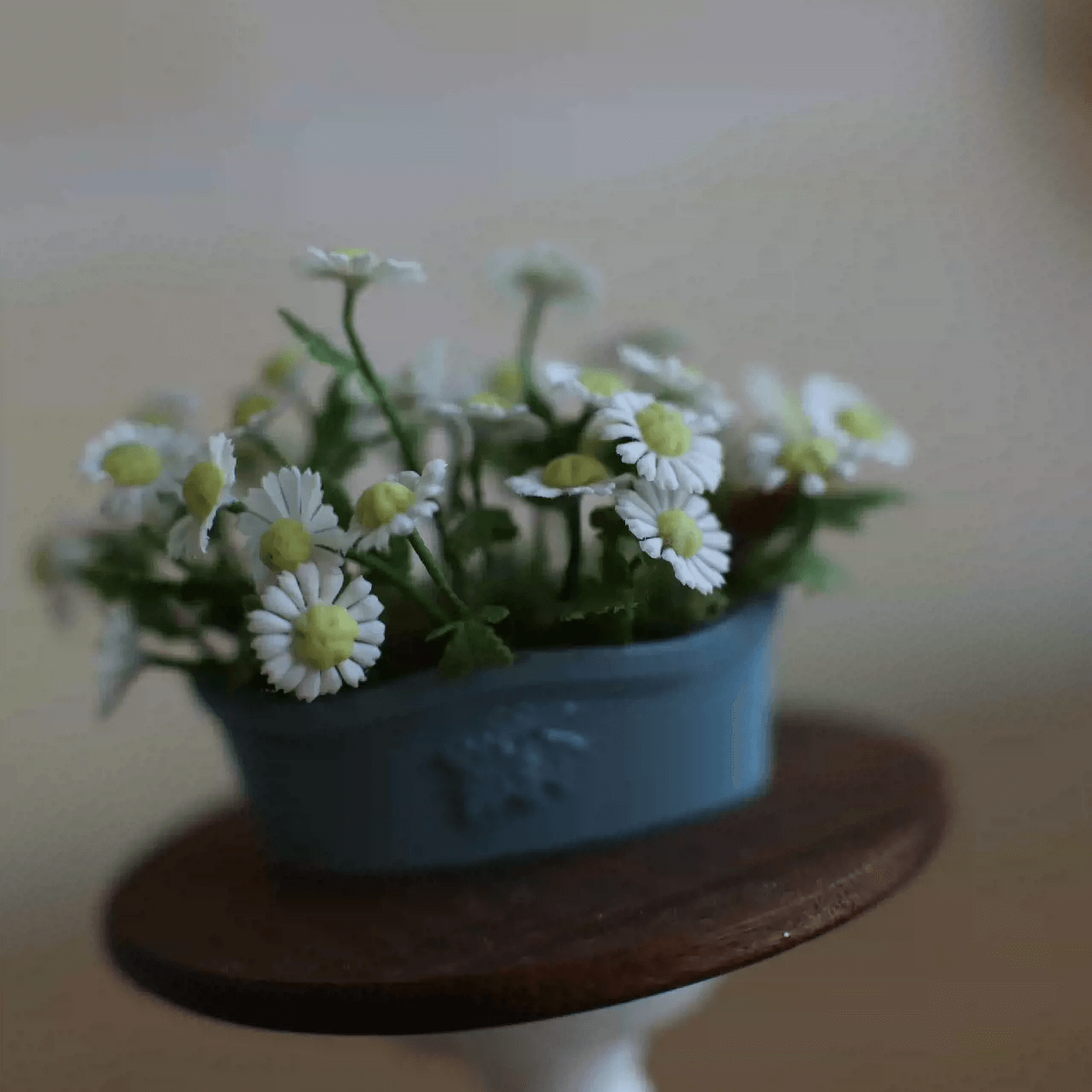 Bellis perennis is a very common European species of daisy, of the Asteraceae family, often considered the model type for the name "daisy".  Material: Handmade from Clay