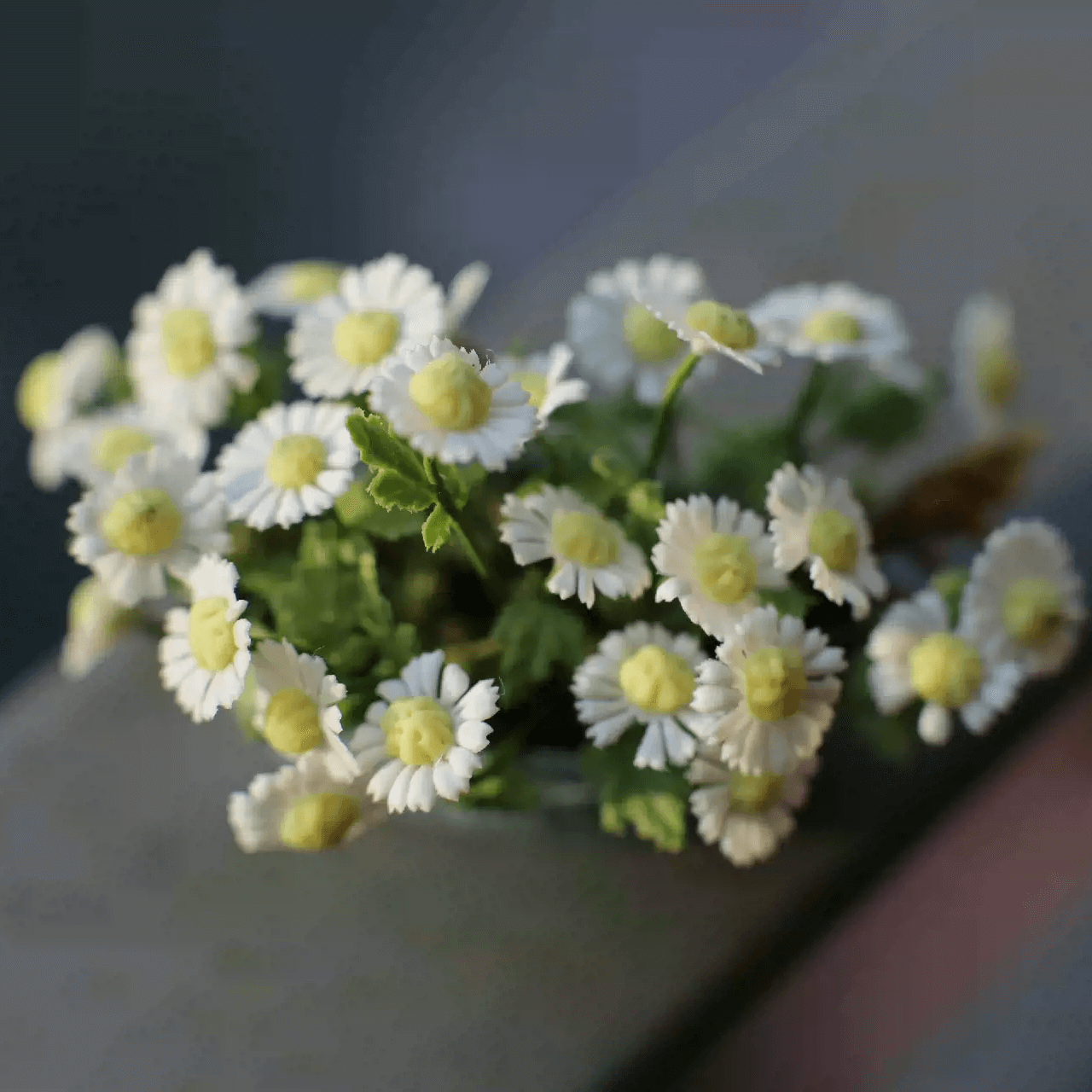 Bellis perennis is a very common European species of daisy, of the Asteraceae family, often considered the model type for the name "daisy".  Material: Handmade from Clay