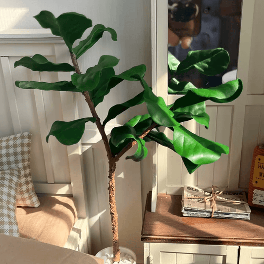 Also known as the Fiddle-Leaf Fig, the Ficus Lyrata/Pandurata is a tall growing fig tree with very large, broad, green leaves. Miniature for dolls, dollhouses, roomboxes. Suitable for Blythe, Barbie, Paola,and other dolls with a height of 25-40cm (10-15.8 inches). Scale: 1:6; 1:12 Material: Handmade from Clay
