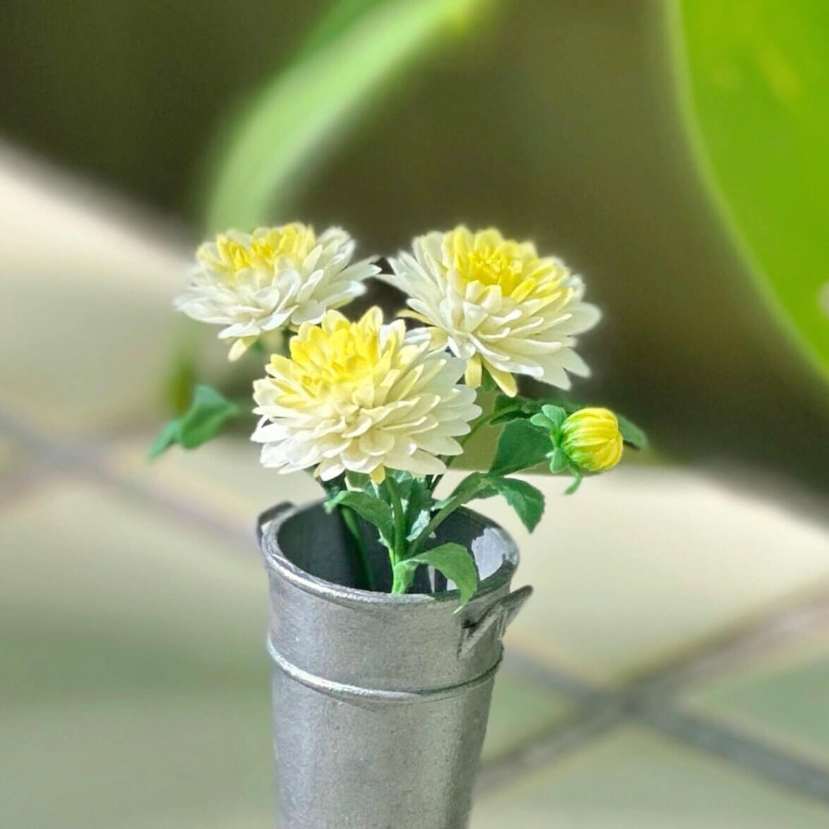 Dahlia pinnata is a species in the genus Dahlia, family Asteraceae, with the common name garden dahlia.  Scale: 1:6; 1:12  Material: Handmade from Clay  Default Color: As the picture shows  A variety of colors are available, choose your favorite color and make a note.