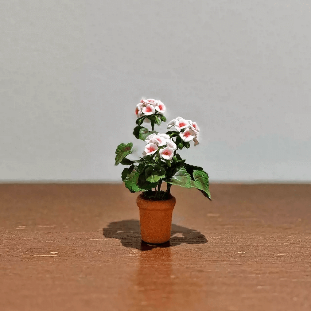 Pelargonium hortorum, commonly called zonal geranium, or garden geranium, is a nothospecies of Pelargonium most commonly used as an ornamental plant. Scale: 1:6; 1:12  Material: Handmade from Clay