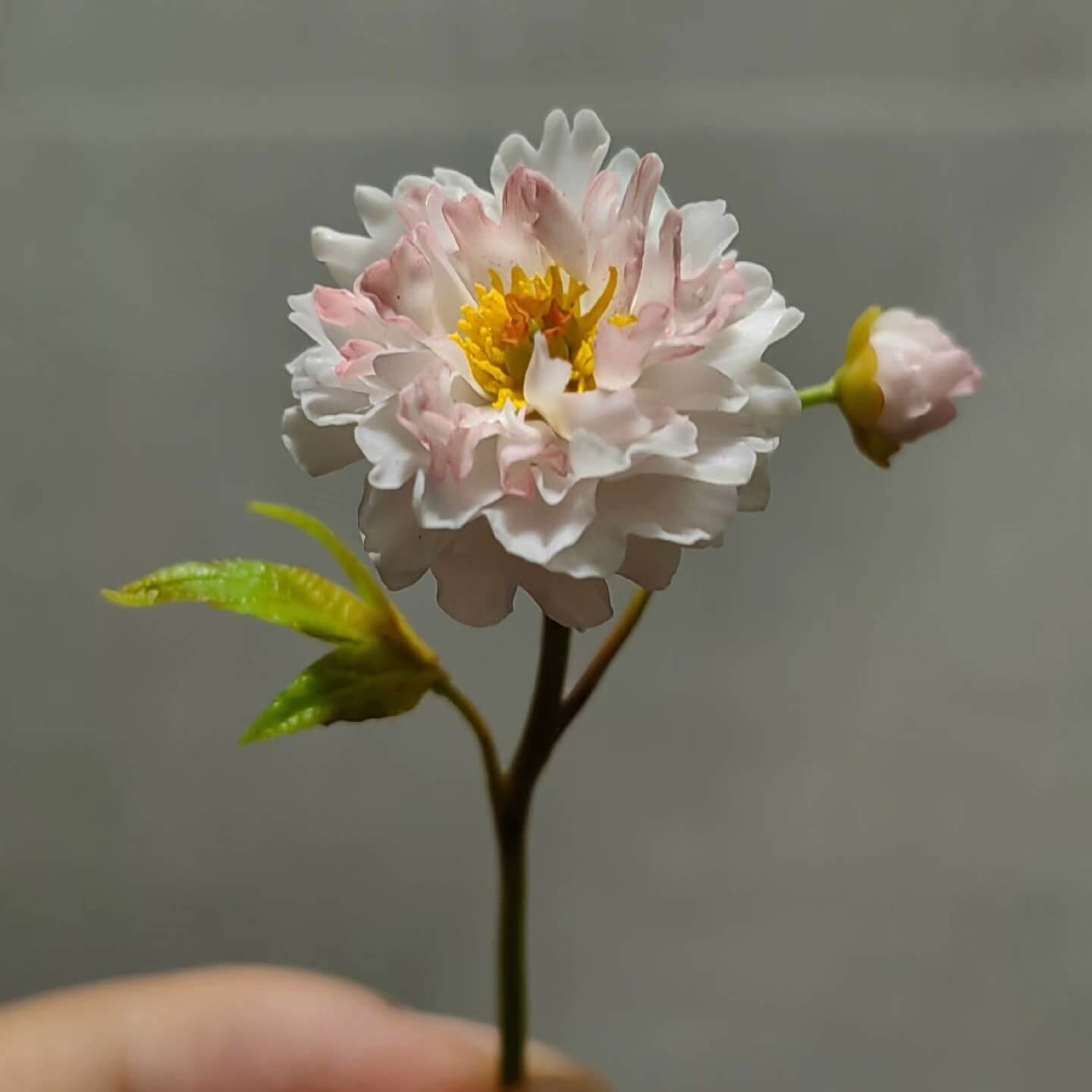 Miniature for dolls, dollhouses, roomboxes. Suitable for Blythe, Barbie, Paola,and other dolls. One peony: includes one flower, one bud, and two leaves.