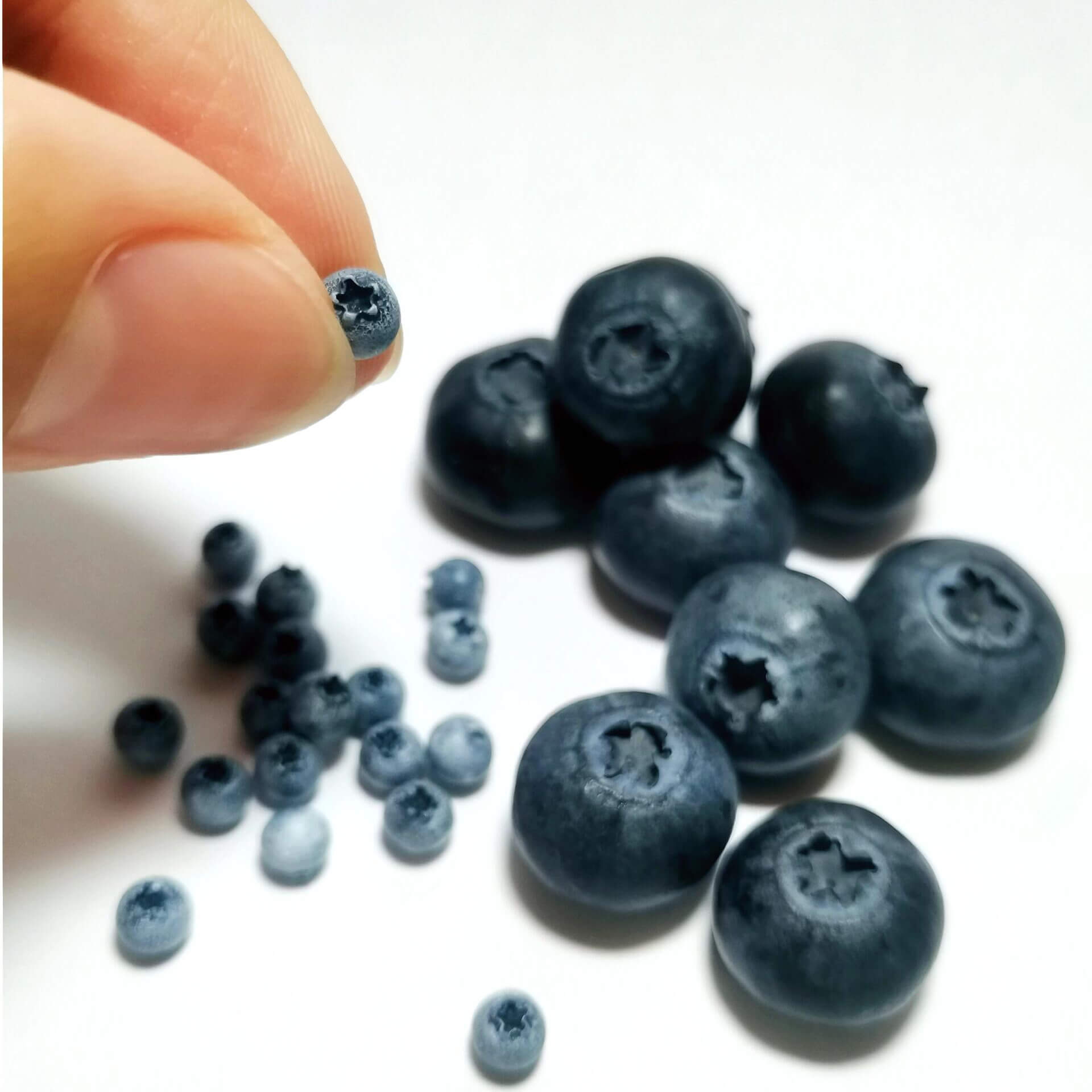 Miniature fruit blueberry for a dollhouse. Miniature fruit blueberry made of clay. Miniature fruit blueberry can be used in doll kitchen, doll grocery store, doll food, collection, diorama decoration. Size: 0.4cm / 0.16in