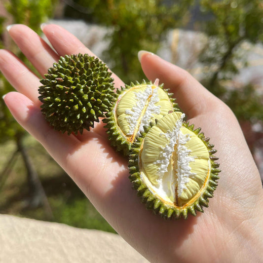 Miniature fruit half durian for a dollhouse. Miniature fruit half durian made of polymer clay. Miniature fruit half durian can be used in doll kitchen, doll grocery store, doll food, collection, diorama decoration.