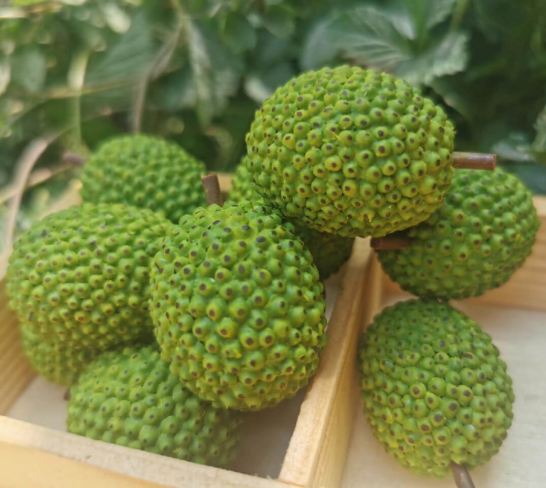 This miniature fruit jackfruit would be a wonderful addition to any doll's house kitchen or dining room table. Material: Clay