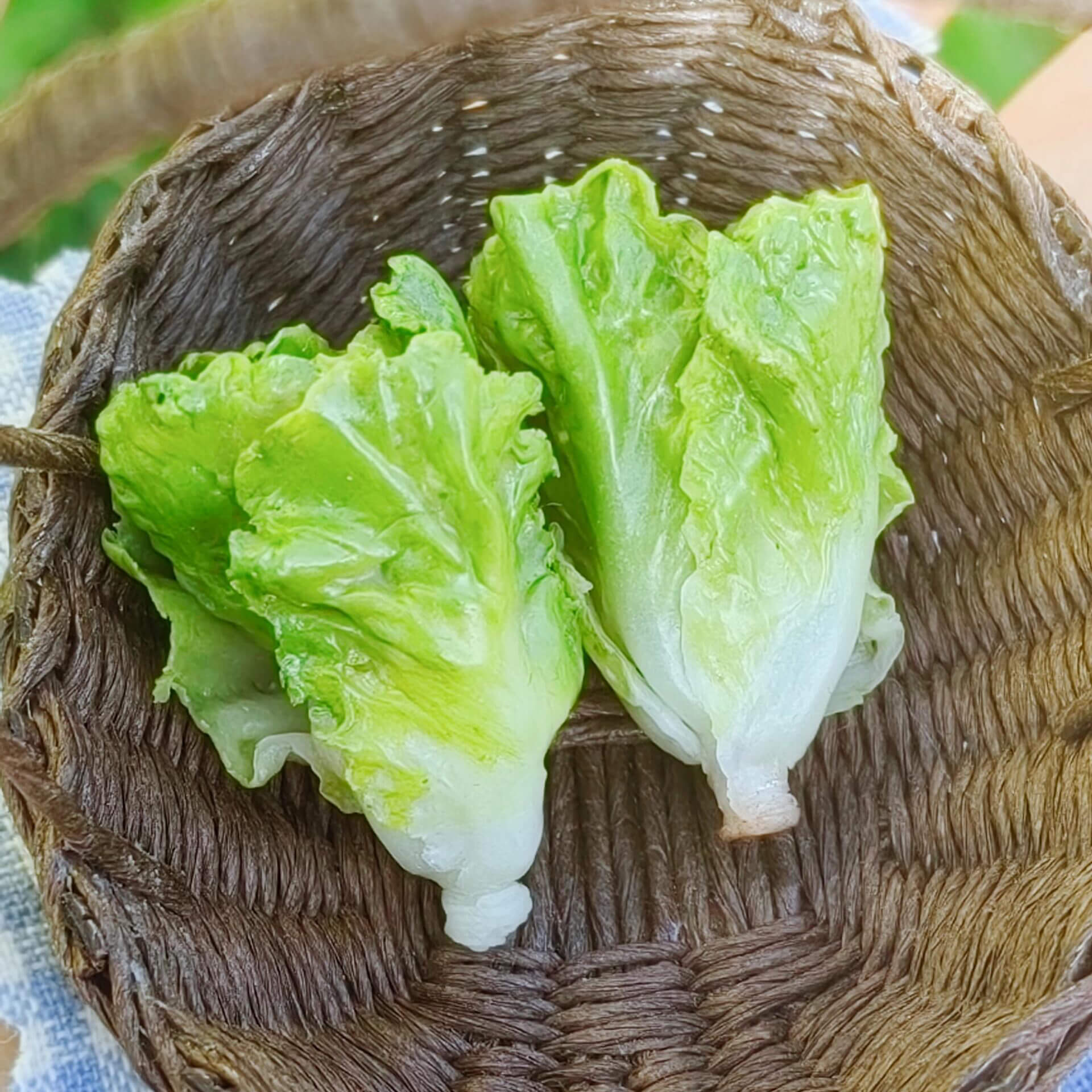 Miniature vegetables lettuce for a dollhouse. Miniature vegetables lettuce made from clay. Miniature vegetables lettuce in 1/12 and 1/6 scale can be used in doll kitchen, doll grocery store, doll food, collection, diorama decoration. Size: 1/12 (2cm / 0.79inch); 1/6 (3cm / 1.18in).